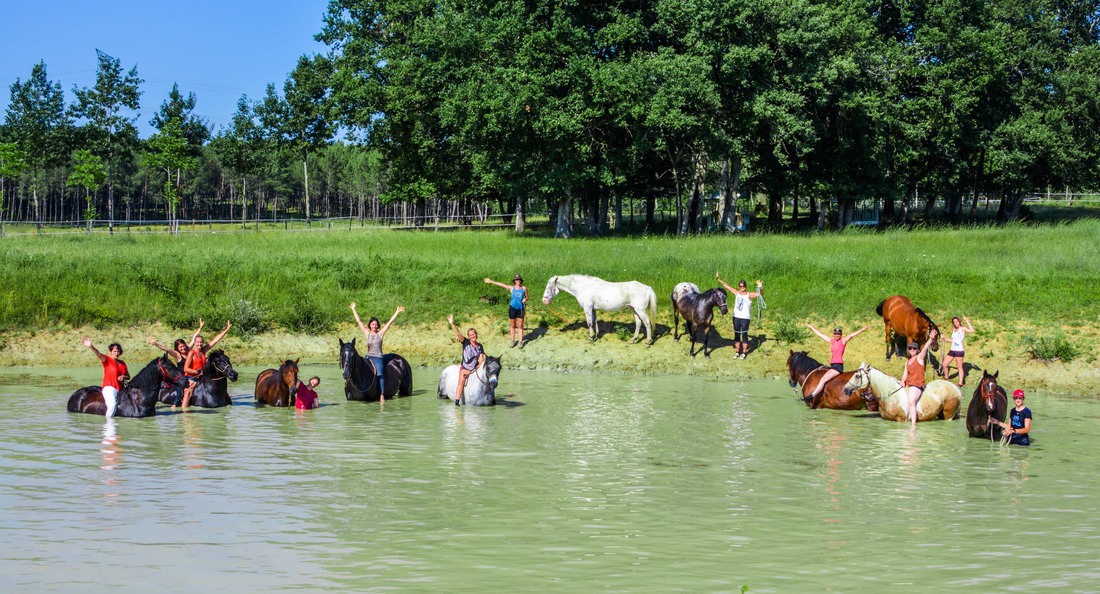 Stage équestre — baignade en groupe avec les chevaux